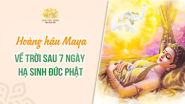 Hoàng Hậu Maya Về Trời Sau 7 Ngày Hạ Sinh Đức Phật Do Công Đức ...