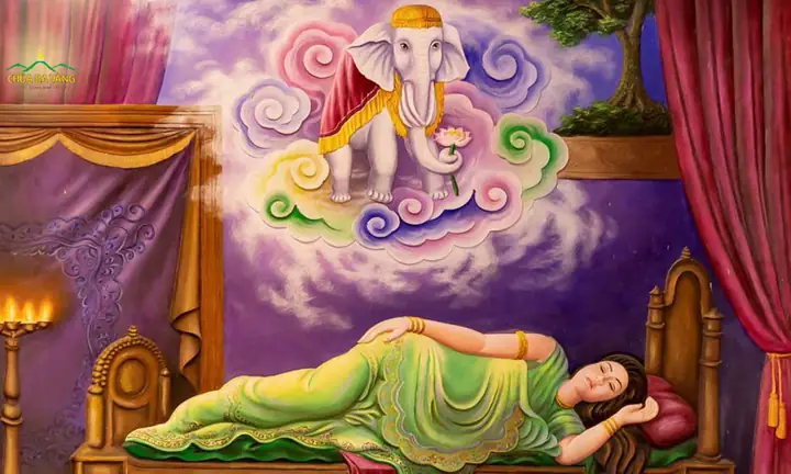 Lý Giải Về Hoàng Hậu Ma Da - Người Mẹ Đặc Biệt Nhất Thế Gian