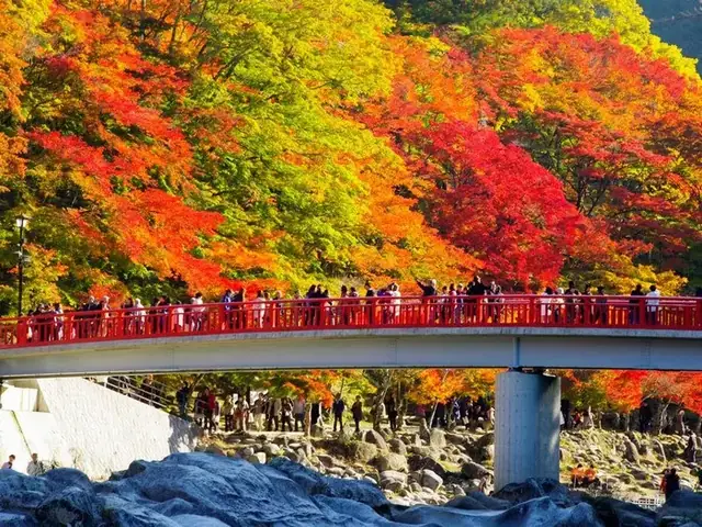 Thời Tiết Mùa Thu Nhật Bản - Mát Mẻ, Dễ Chịu Và Đầy Cảm Hứng Cho Chuyến Đi