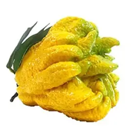 Quả Phật Thủ | Tươi