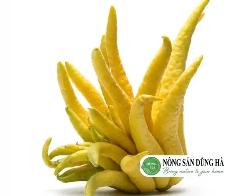 Quả Phật Thủ Nông Sản Dũng Hà Loại 1 Giá Rẻ