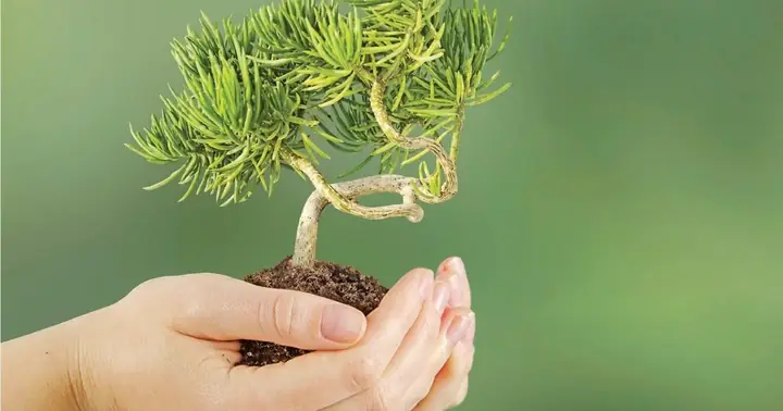 10 Điều Tâm Niệm | Giác Ngộ Online