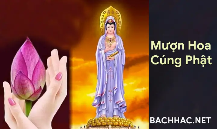 Mượn Hoa Cúng Phật