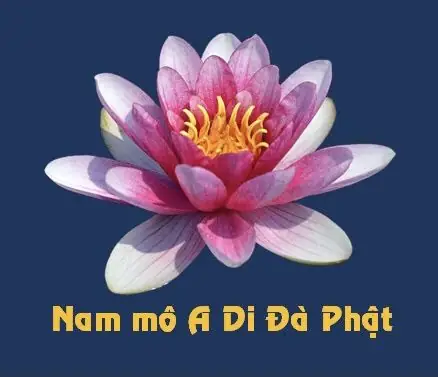 Nam Mô Phật Đà Da: Ý Nghĩa Và Giá Trị Tinh Thần Trong Đời Sống