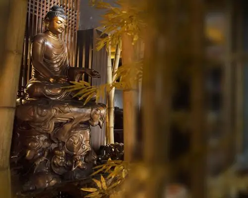 Tiếp Dẫn Đạo Sư A Di Đà Phật - Nguyện Lực Rộng Sâu Tiếp Cứu ...