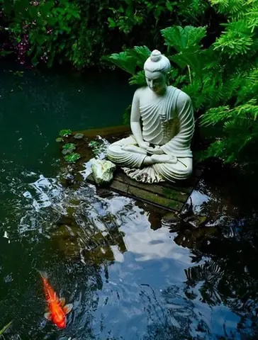 Cho Nen Mua Tuong Phat Khi Chua Biet Nhung Dieu Nay