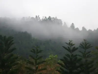 Phật Giáo Nguyên Thủy Ở Đà Lạt