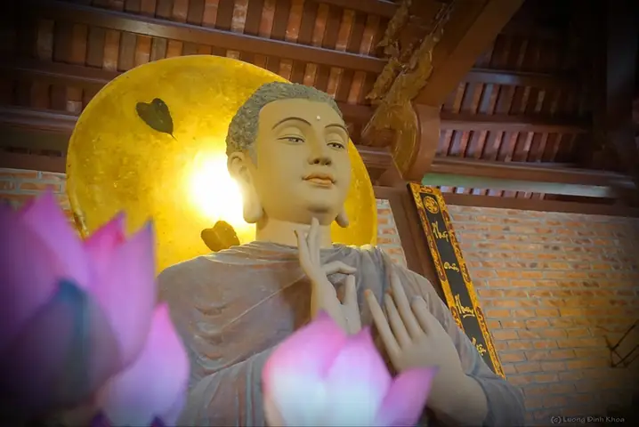 Xin Cảm Ơn Ngã Phật Từ Bi