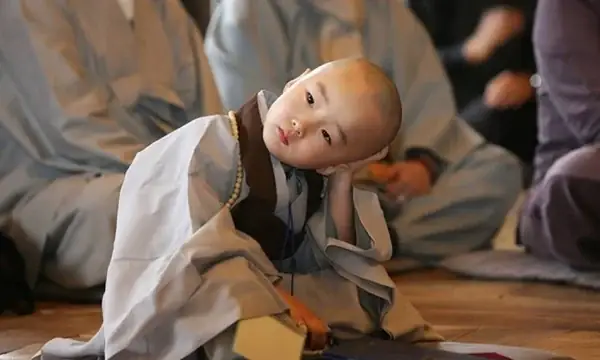 Tại Sao Khi Niệm Phật Thường Hay Buồn Ngủ?