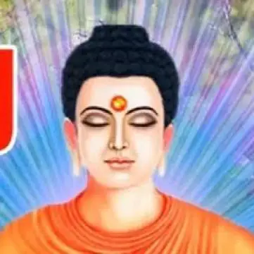 Nghe 101 Lời Phật Dạy Mỗi Đêm: Hành Trình An Lòng Trước Giấc Ngủ