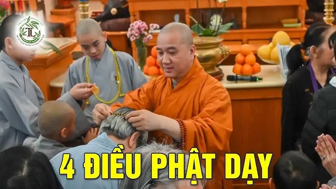 Những Điều Cần Học Tập - Bài Học Về Kỷ Luật Và Tỉnh Thức Từ Đức Phật