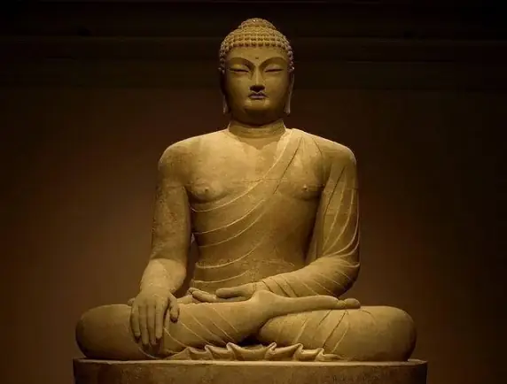 Theo Luật Nhân Quả, Thành Công Hay Thất Bại Đều Có Nguyên Nhân Sâu Xa Của Nó. Nếu Chúng Ta Muốn Có Được Nhiều Kết Quả Tốt Đẹp Thì Phải Biết Gieo Nhân Thiện Ích Giúp Người Cứu Vật.