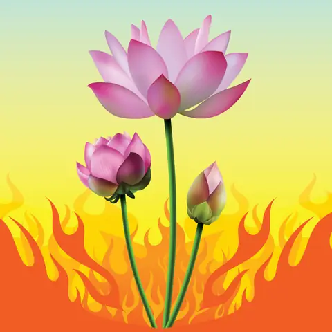 Hình Ảnh Cho Hình Ảnh Hoa Sen Phật Giáo: