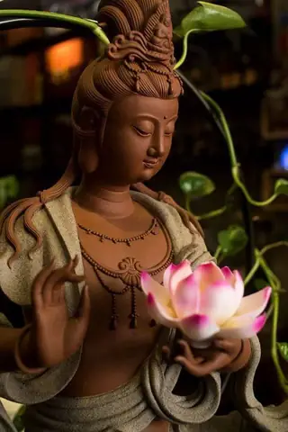 Hình Ảnh Cho Hình Ảnh Hoa Sen Phật Giáo: