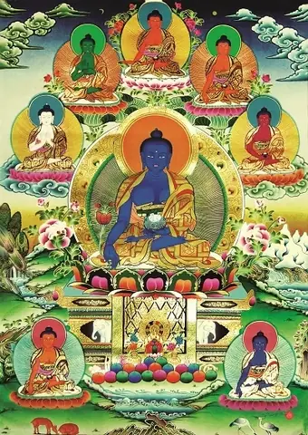 Địa Điểm Triển Khai Thực Hiện Dự Án Dược Liệu Quý