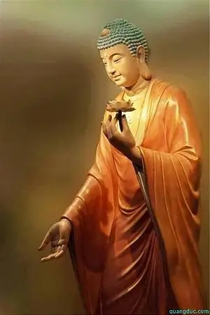 Ngộ Nhập Phật Tri Kiến Là Gì? Khái Niệm, Ý Nghĩa Và Con Đường Thực Hành