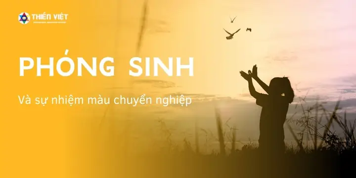 Tin Tức Liên Quan