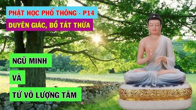 Tìm Hiểu Về Ngũ Minh Phật Học Phổ Thông: Hệ Thống Tri Thức Nền Tảng Của Phật Giáo Đại Thừa