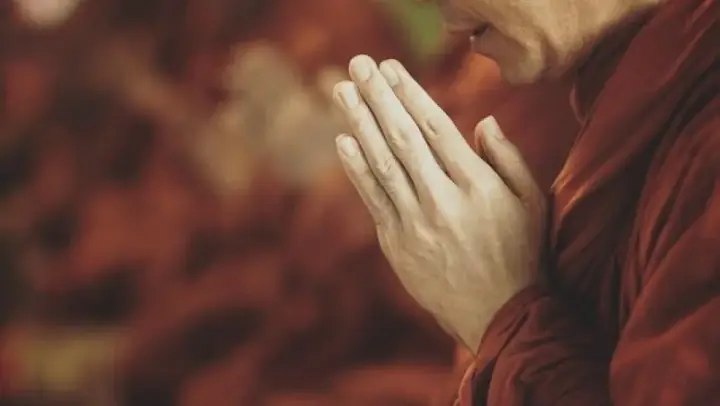 Vọng Tưởng Là Bản Chất Của Con Người, Khi Niệm Phật Chúng Ta Mới Biết Mình Có Vọng Tưởng. Bình Thường Chúng Ta Vọng Tưởng Mà Chúng Ta Không Có Biết, Cho Nên Nhờ Niệm Phật Mới Biết Mình Có Vọng Tưởng.