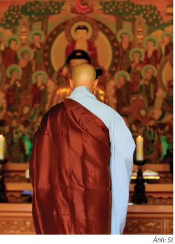 Vài Suy Nghĩ Về Nguyên Nhân Hình Thành Phật Giáo Đại Thừa