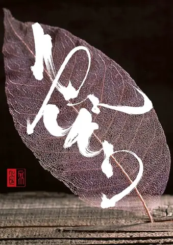 Nhẫn Nghĩa Là Chịu Đựng, Nhường Nhịn, Cũng Được Hiểu Là Nhẫn Nhục. Nhục Là Chịu Khuất Phục, Hổ Thẹn Vì Thấp Hèn. Nhẫn Nhục Được Xem Là Đồng Nghĩa Với Kiên Nhẫn, Nhẫn Nại, Kiên Trì, Nỗ Lực Chịu Đựng, Chịu Đựng Lâu Bền.