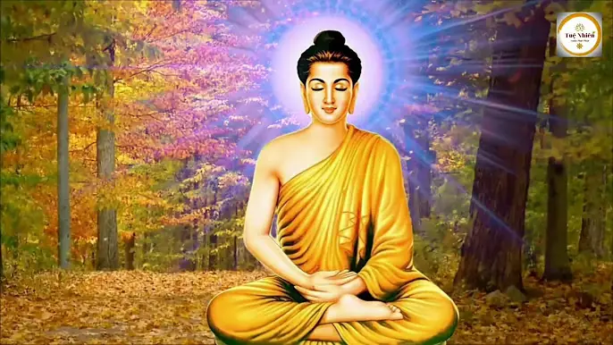 Phật Pháp Nhiệm Màu: Câu Chuyện Chuyển Hóa Từ Oan Nghiệt Đến Bình An