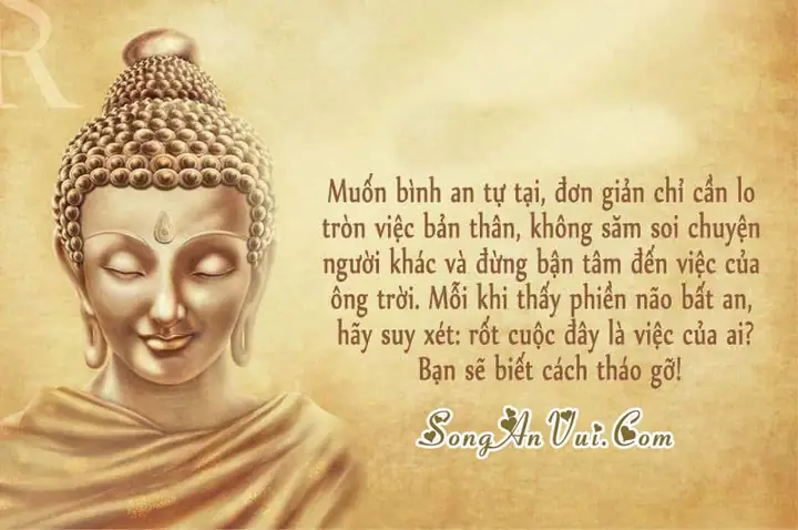 Trong Bão Lũ, Nhớ Lời Phật Dạy Về Tài Sản Thuộc Về 5 Nhà