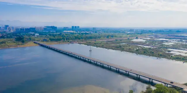 Nhữ Đẳng Phật Tử Chúng: Hiểu Rõ Từ Ngữ, Ý Nghĩa Và Vai Trò Trong Đạo Phật