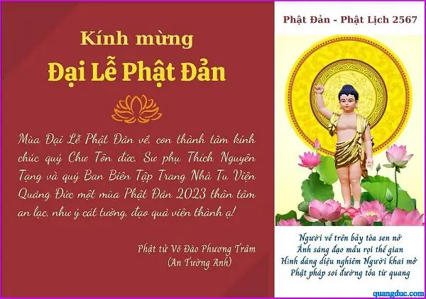 Như Ý Giảng Kinh Phật: Hành Trình Khai Mở Trí Tuệ Từ Trái Tim Từ Bi