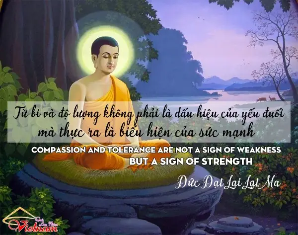 Những Bài Viết Hay Về Phật Giáo: Tuyển Tập Câu Chuyện Ý Nghĩa