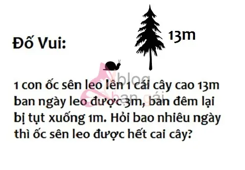 Câu Hỏi Vui Hại Não: Thử Thách Trí Thông Minh Và Mang Lại Tiếng Cười