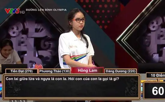 Câu Hỏi Đố Vui Cho Học Sinh Thpt: Thử Thách Kiến Thức Và Tư Duy