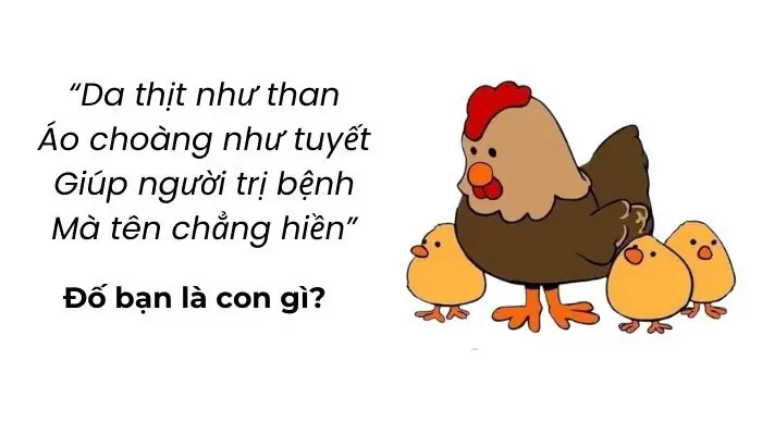 Câu Hỏi Vui Hack Não - Tổng Hợp Những Câu Đố Vui Hại Não Thú Vị Nhất