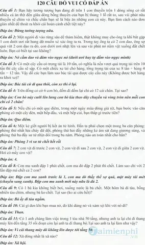 Câu Hỏi Trắc Nghiệm Đố Vui Có Đáp Án: Khám Phá Những Câu Đố Thú Vị