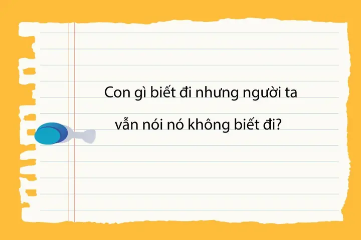 Câu Hỏi Đố Vui Khó - Thử Thách Trí Tuệ Với Những Câu Đố Hay Nhất