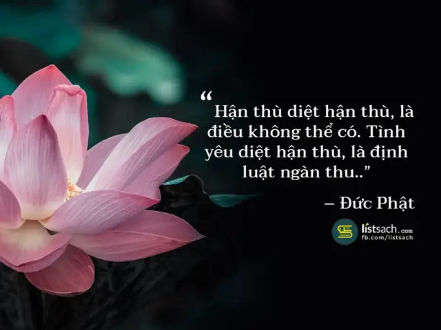 Lời Phật Dạy Về Cuộc Sống Hạnh Phúc Và Chữa Lành Nỗi Đau