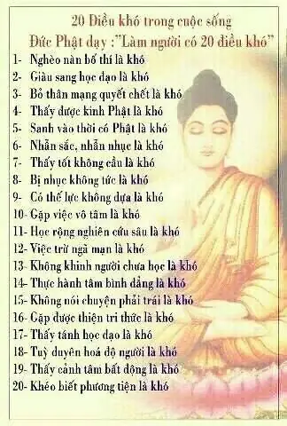 Những Điều Đức Phật Dạy: Hiểu Đúng Để Sống An Lạc