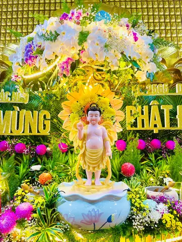 Hình Ảnh Cho Những Hình Ảnh Đẹp Của Đức Phật Đản Sanh: