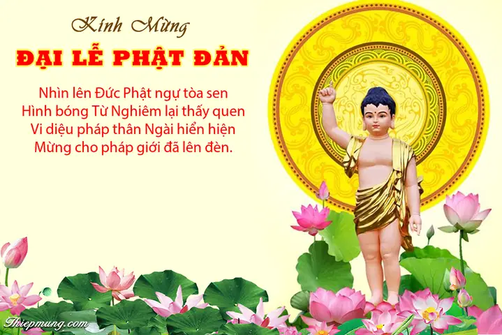 Hình Ảnh Cho Những Hình Ảnh Đẹp Của Đức Phật Đản Sanh: