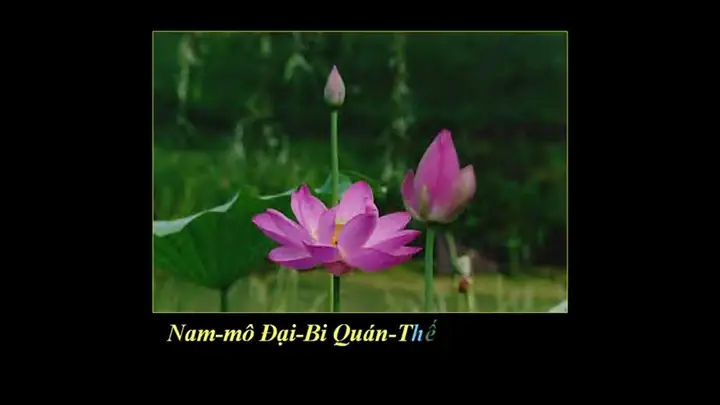 Niệm Nam Mô Quan Thế Âm Bồ Tát 108 Lần | Lời Phật Dạy