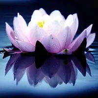 Chín Phẩm Vãng Sanh Trong Pháp Môn Tịnh Độ