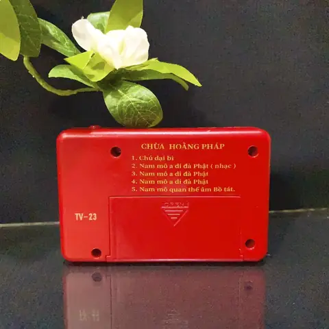 Niệm Phật Chùa Hoằng Pháp