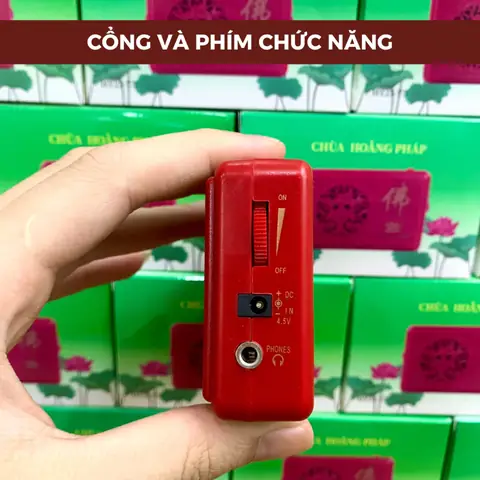 Niệm Phật Chùa Hoằng Pháp