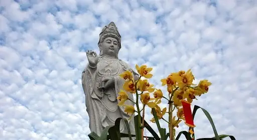 Linh Ứng Trì Chú Đại Bi, Niệm Phật Cầu Cho Con Gái Thi Đậu Điểm Cao