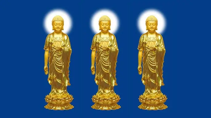 Niệm Phật Địa Chung Tịnh Tông Học Hội: Hiểu Rõ Về Cộng Đồng Tu Tập