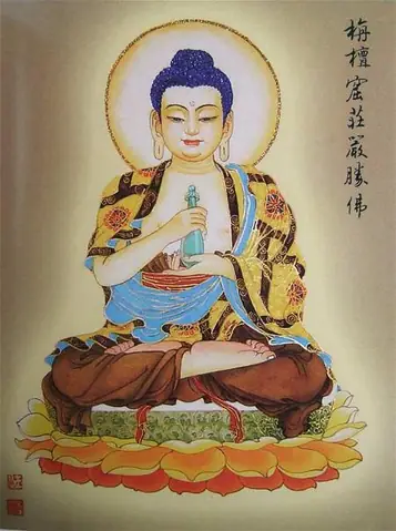 Chua-niem-phat-minnesota-chien-dan-bien-trang-nghiem