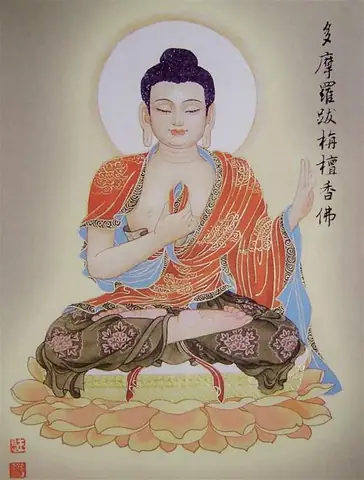 Chua-niem-phat-minnesota-da-ma-la-bat-chien-dan-huong-phat