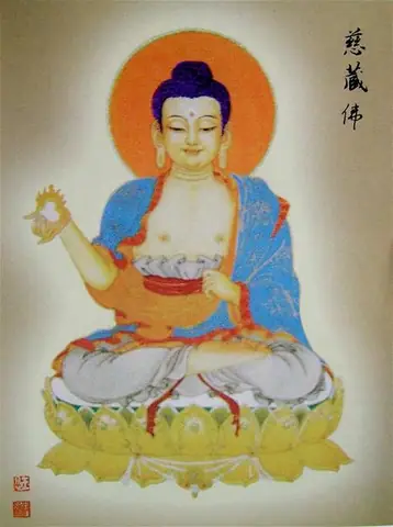 Chua-niem-phat-minnesota-tu-tang-phat