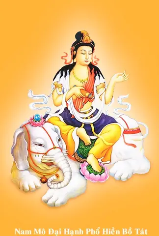 12 Điều Răn Lòng Người Niệm Phật: Từ Hổ Thẹn Đến Tín Tâm