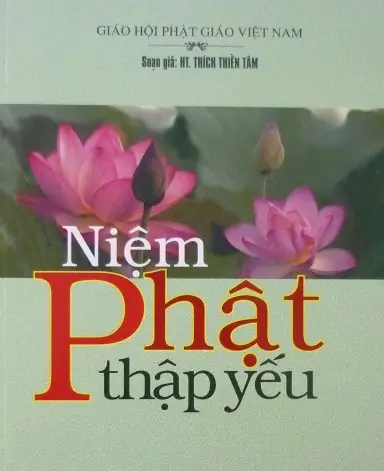 Hướng Dẫn Tải Và Đọc Sách "niệm Phật Thập Yếu" Pdf